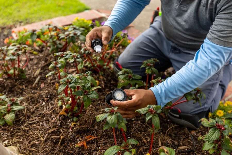 {SERVICE_NAME} project in University Park